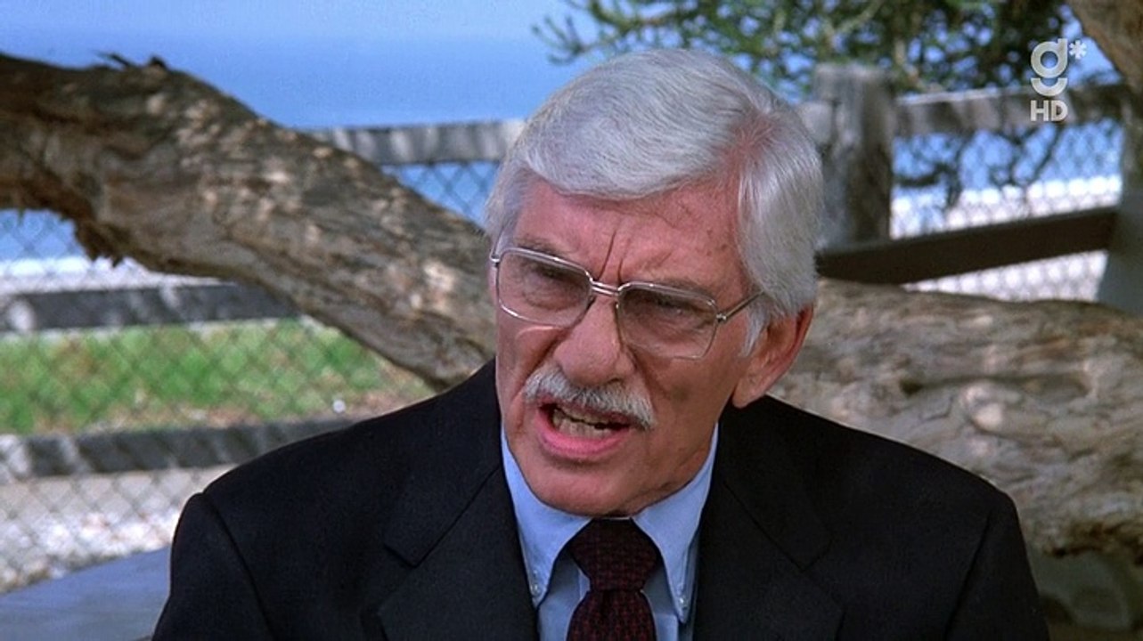 Hart aber herzlich  S02E20 - Das gruene Zimmer