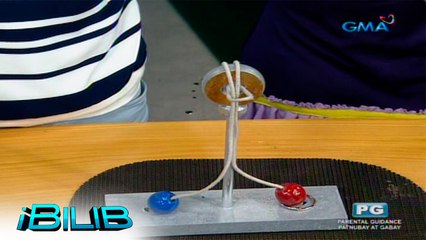 iBilib: Rope and ring puzzle