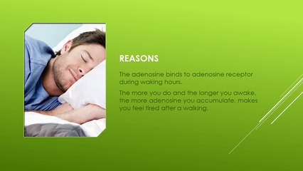 Why Do We Fall Asleep? | Science | Reasoning