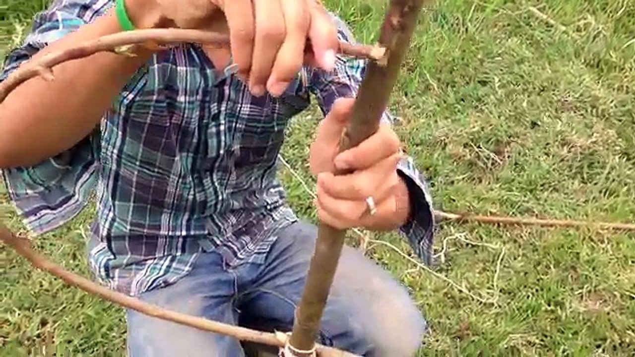 Awesome Quick Bird Trap Perch Snare Trap - How To Make A Bird Trap - The Best Bird Traps (Work 100%)