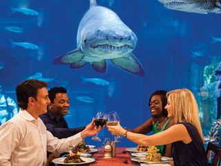 7 Underwater Restaurants and Bars