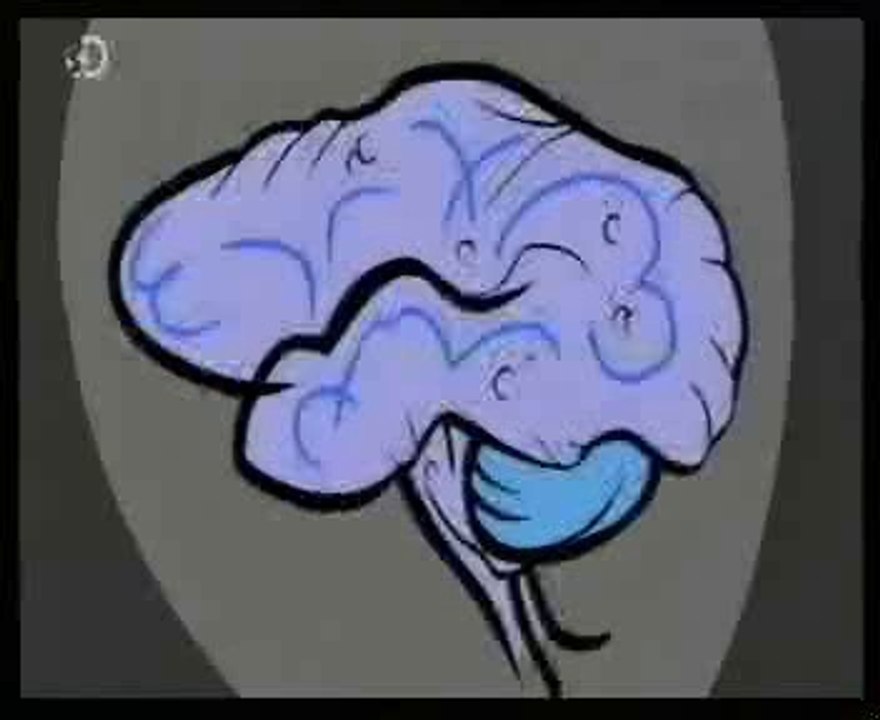 Sociedad Bonobo: Haz el amor y no la guerra