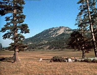 S01E22 - Kein Platz für Schafe