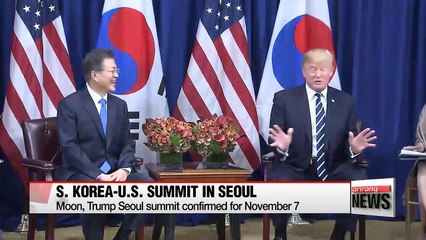 下载视频: Seoul, Washington confirm Nov. 7 bilateral summit in Seoul... first state visit by U.S. president in 25 years