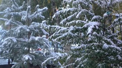 Ardahan'da Kar Esareti... 17 Köy Yolu Ulaşıma Kapalı