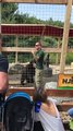 Black Bear Talk At Animal Adventure Park