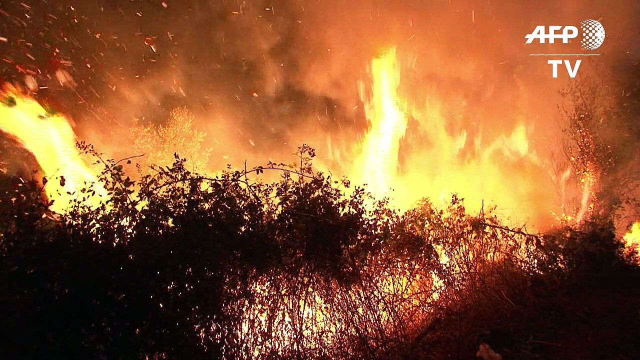 Mindestens 39 Tote bei Waldbränden in Portugal und Spanien