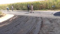 Ceylanpınar Kırsalındaki Yollar 19 Yıl Sonra Asfaltlandı
