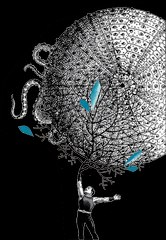 RHIZOMES, ARPENTER LES PAYSAGES HUMAINS.
