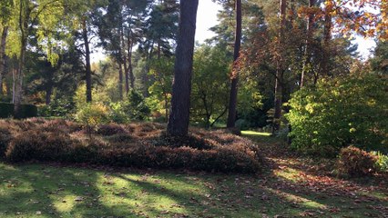 L'Arboretum des Grandes Bruyères en automne à 360°