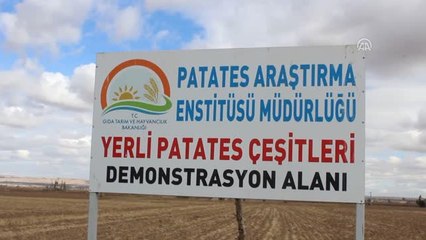 Kadın Çiftçilerden Yerli Patates Hasadı