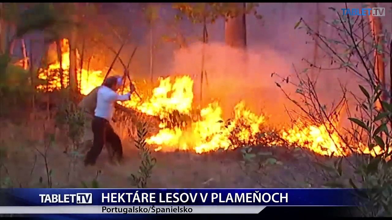 Lesné požiare si vyžiadali v Portugalsku 35 mŕtvych, v Španielsku štyroch
