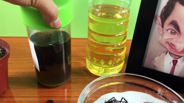 Eating FRIED INSECT and Drinking INSECT WINES! Kluna Tik TNT Diner #52 _ ASMR eating sounds no talk-eXnihOxBPhw