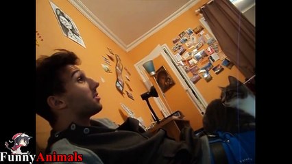 Dogs and Cats Doesn't Like Owner Singing Compilation 2017
