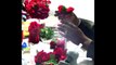 DIY: Dollar Tree Valentines Day/Wedding Pomander Ball Arrangements