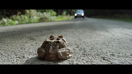 Altmann + Pacreau pour Caisse d’Epargne - «Le miracle» - octobre 2017