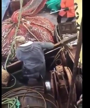 GUARDATE CHE TROVANO NELLA RETE!