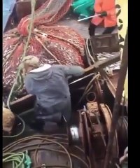 GUARDATE CHE TROVANO NELLA RETE!