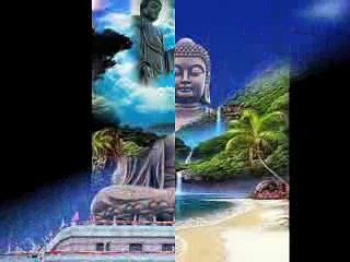 GIEO NHÂN GẶT QUẢ