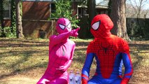 Pembe Spidergirl Kaçırılan! Spiderman, Venom, Joker, Ironman, Dondurulmuş Elsa w /