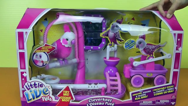 Little live pets cleverkeet pink deals