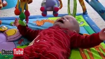 Videos graciosos de bebés | Funny Baby Clips