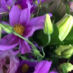 The Posy Co - Mooloolaba Flowers Online