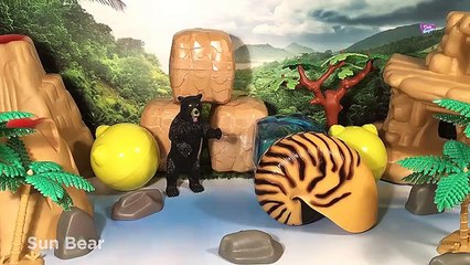 8 Ferocious Predators ANIMALS SURPRISE TOYS 3D PUZZLES - Whale Shark Lion Cobra Polar Bear Eagle