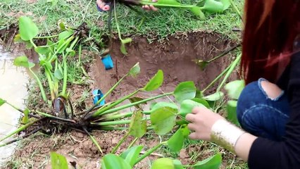 Amazing Deep hole Trap Catch a lot of fish and eels Make By Two Women in Cambodia