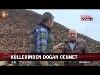 Küllerinden doğan cennet - 31.03.2015