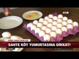 Sahte köy yumurtasına dikkat! - atv Ana Haber