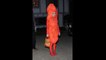 11 of the Best Celebrity Halloween Costumes of All Time