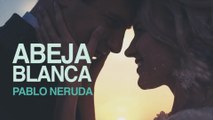 Abeja blanca - Pablo Neruda [POEMA 8]