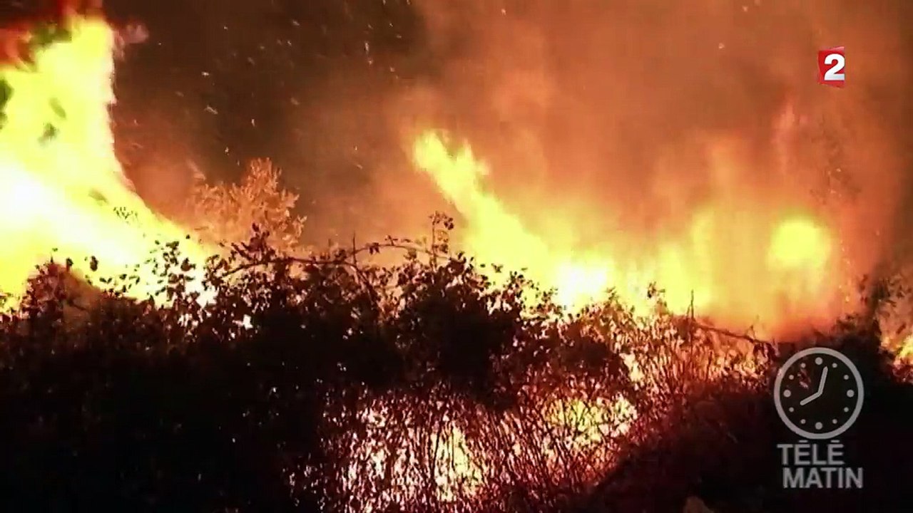 Portugal : les 5 000 pompiers débordés, l'armée déployée