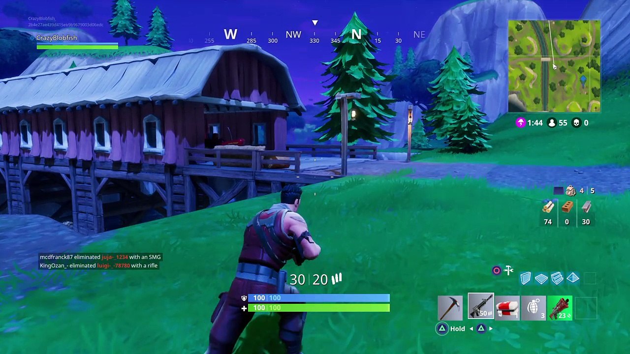 Fortnite solo win