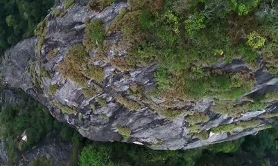Pacu Adrenalin Kamu di Tebing Via Ferrata