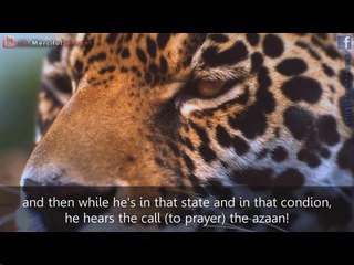 Pray Until Your Last Breath