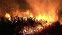 Fierce fires in Portugal destroy homes, leave dozens dead