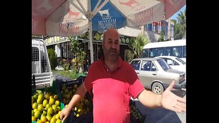 5 PKK'lının öldürüldüğü operasyondan kaçan terörist yakalandı