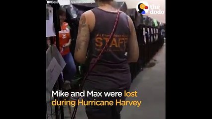 Belle vidéo du jour : cette fillette retrouve ses chiens qui s’étaient perdus lors de l’ouragan Harvey. Trop émouvant !