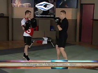 Duane Ludwig - Vol. 2 Stretching & Basic Kicks