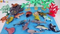 Learn Sea Animals Names For Children-Learn Sea Animals Water Animals Names And Sounds Preschool Toys