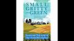 Small, Gritty, and Green The Promise of America's Smaller Industrial Cities in a Low-Carbon World (Urban and Industrial