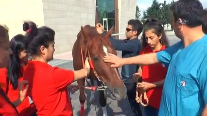 Kadın Seyis Adayları Ders Başı Yaptı