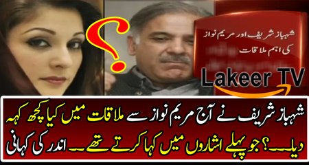 Inside Story Revealed of Meeting Between Maryam & Shahbaz