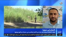 تلفزيون العربي من لندن | عامر هويدي متحدثاً عن سيطرة ميليشيات قسد على مدينة الرقة 17-10-2017