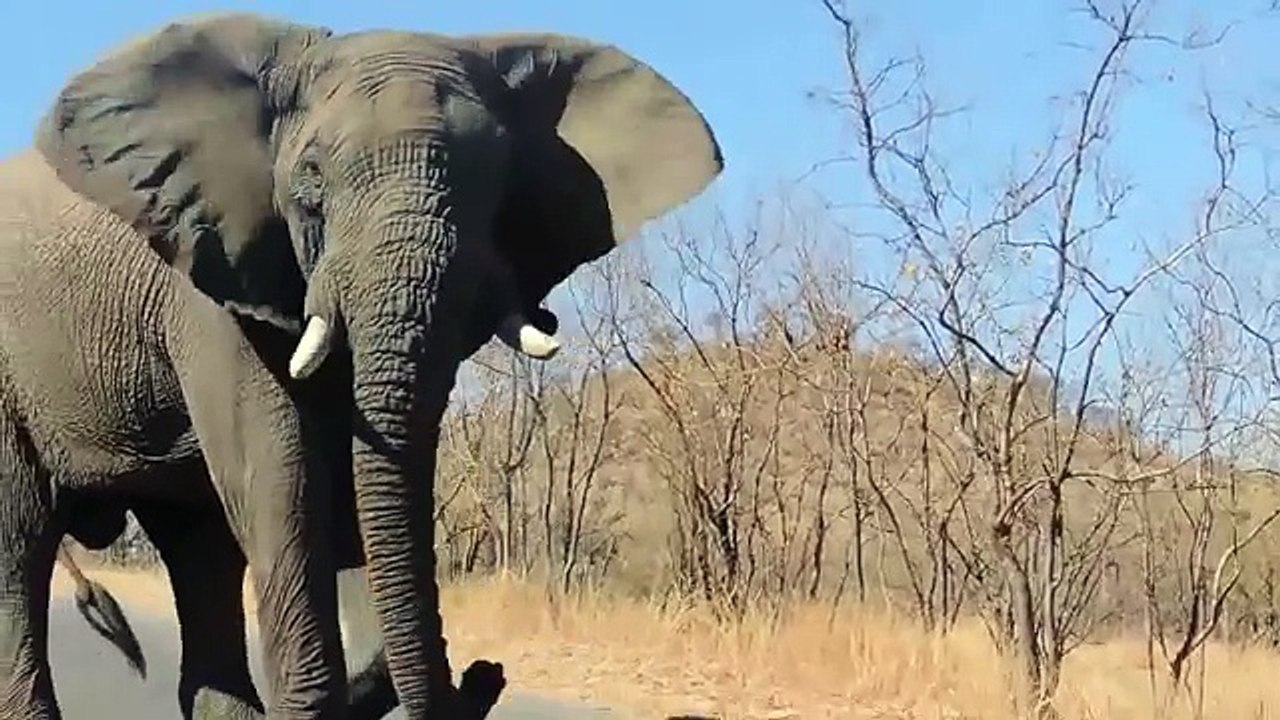 Advertisements Vs Reality 2