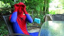 Örümcek Adam Örümcek PEZ içine açar! w / Dondurulmuş Elsa, Pembe Spidergirl Süper Kahraman Fun !!
