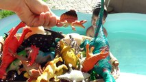 Динозавры Видео про ДИНОЗАВРОВ Игрушки Динозавры Dinosaurs for kids Видео про Динозавров для детей