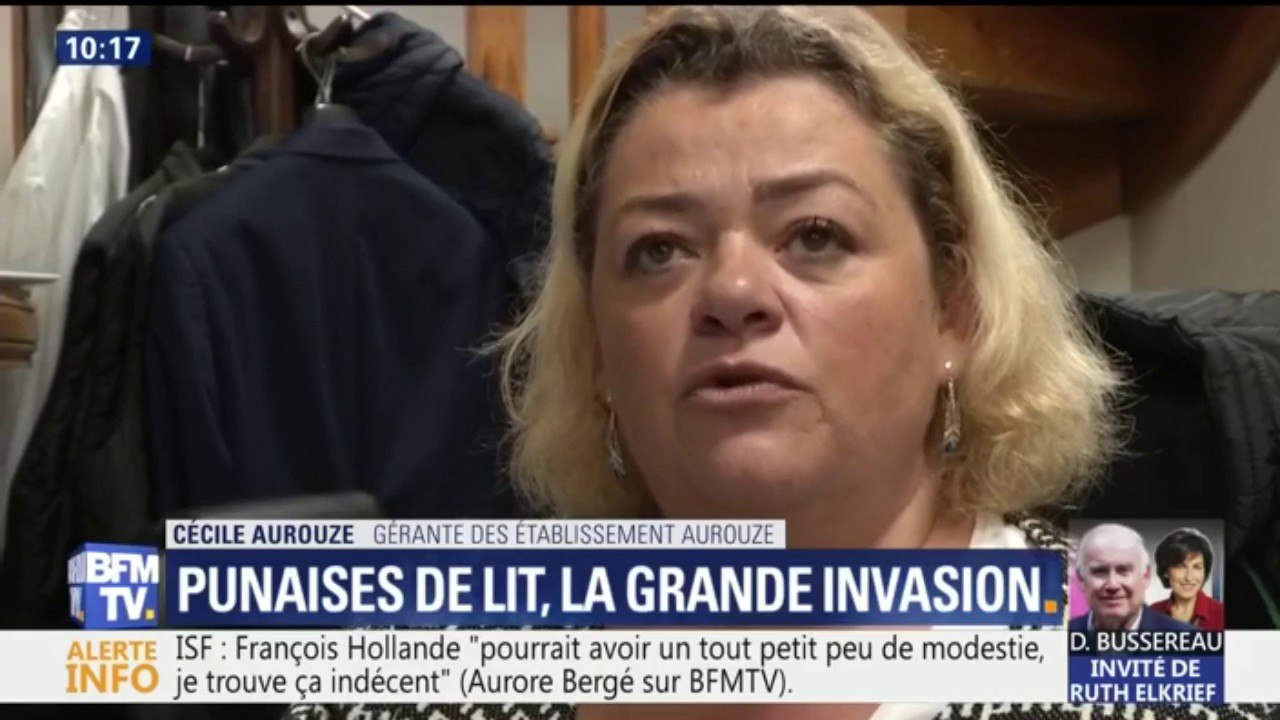 Les punaises de lit reviennent en force, comment s'en débarrasser